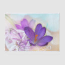 Recherche de fleurissant photographie Violet