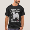 Recherche de spitz Amoureux des chiens