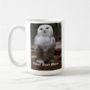 Recherche de hibou neigeux tasses Nature