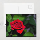Recherche de rouge cramoisi cartes postales Pour tous
