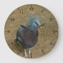 Recherche de pigeon horloges Colombe