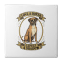 Recherche de boxer carreaux Chiot