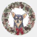 Recherche de feuille de pin autocollants Couronne de noël