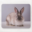 Recherche de arrière plan simple tapis souris Mignon