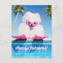 Recherche de humour piscine cartes invitations Chien