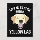 Recherche de humour golden retriever cartes postales Chiens