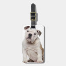Recherche de bouledogue français bagages étiquettes Animaux