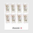 Recherche de lynx autocollants Chaton