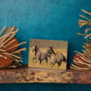 Recherche de ferme plaques Cheval