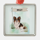 Recherche de papillon ornements Toute personne