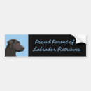 Recherche de labrador noir voiture autocollants Chien