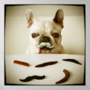 Recherche de humour chien art Animal de compagnie