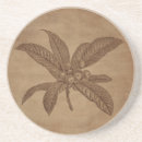 Recherche de gravure sur dessous de verres Fleurs
