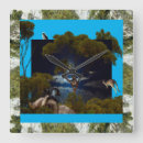 Recherche de gomme horloges Koala