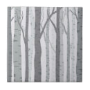 Recherche de arbre de bouleau carreaux Nature