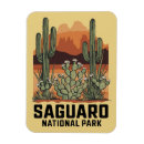 Recherche de saguaro magnets Arizona