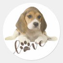 Recherche de beagles autocollants Chien de chasse