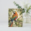 Recherche de oiseau perroquet cartes postales Nature