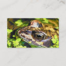 Recherche de froggie cartes visite Animal