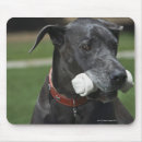 Recherche de cannine tapis souris Grand dane
