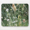 Recherche de grasse tapis souris Plante