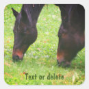 Recherche de équin photographie Pour elle