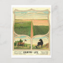 Recherche de agriculture cartes postales Vintage