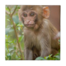 Recherche de temple carreaux Hindou