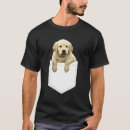 Recherche de chemise de chien Chiot