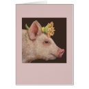 Recherche de porcelet Piggie