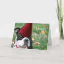 Recherche de terrier boston anniversaire cartes Animal