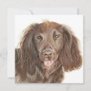 Recherche de dog vœux cartes Canine