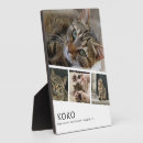 Recherche de animaux portraits Collage de photos