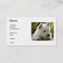 Recherche de chien westie cartes visite De