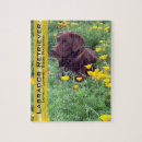 Recherche de brun chocolat puzzles Labrador