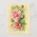 Recherche de rose victorien rose cartes postales Élégant