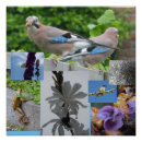 Recherche de grenouille colorée posters Pour tous