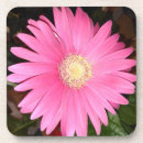 Recherche de marguerite gerbera dessous de verres Pour tous