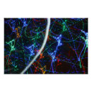 Recherche de au néon posters Abstrait