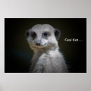 Recherche de kat art Mignon