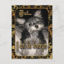Recherche de yorkshire terrier chien postales cartes vœux cartes Animal