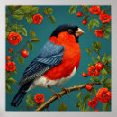 Recherche de bullfinch posters Nature