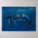 Recherche de queue de baleine posters Bosse