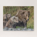 Recherche de bear puzzles Animal