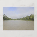 Recherche de bornéo cartes postales Nature