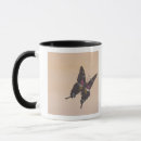 Recherche de de papillon de machaon tasses Mignon