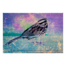 Recherche de oiseaux chanteurs posters Pour tous
