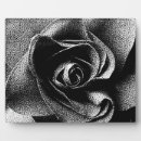 Recherche de rose noir plaques Fleurs