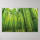 Recherche de zen m art Forêt