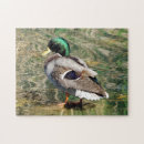 Recherche de duck puzzles Animal